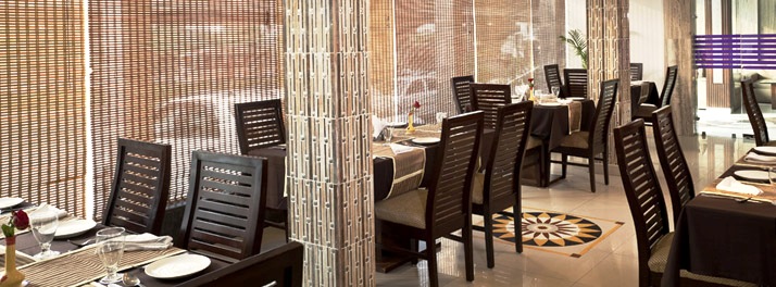 489/Hotel Saptagiri - New Delhi 05.jpg